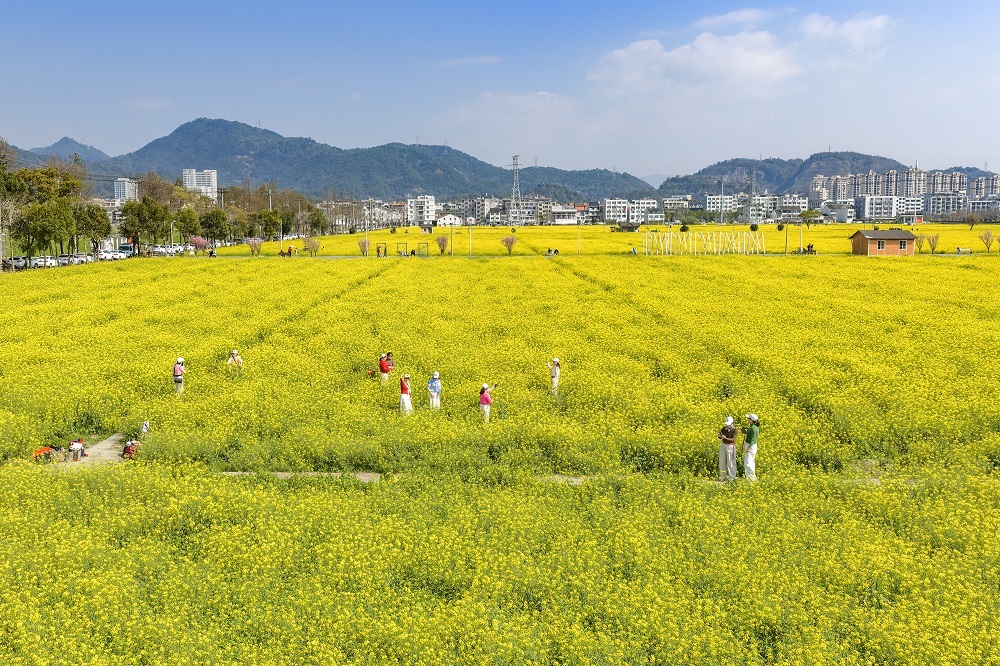 ���������첻���ˡ��� ����걺���Ƭ�����ƻ������������´�