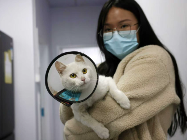 Ϊ���˶�����Ѿ���ů���ж�����������ɱ���