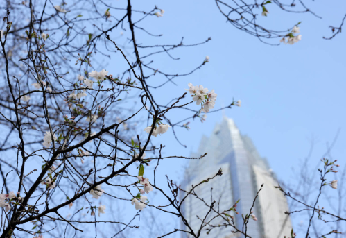 ����������С����ҹӣ�����ǳ�