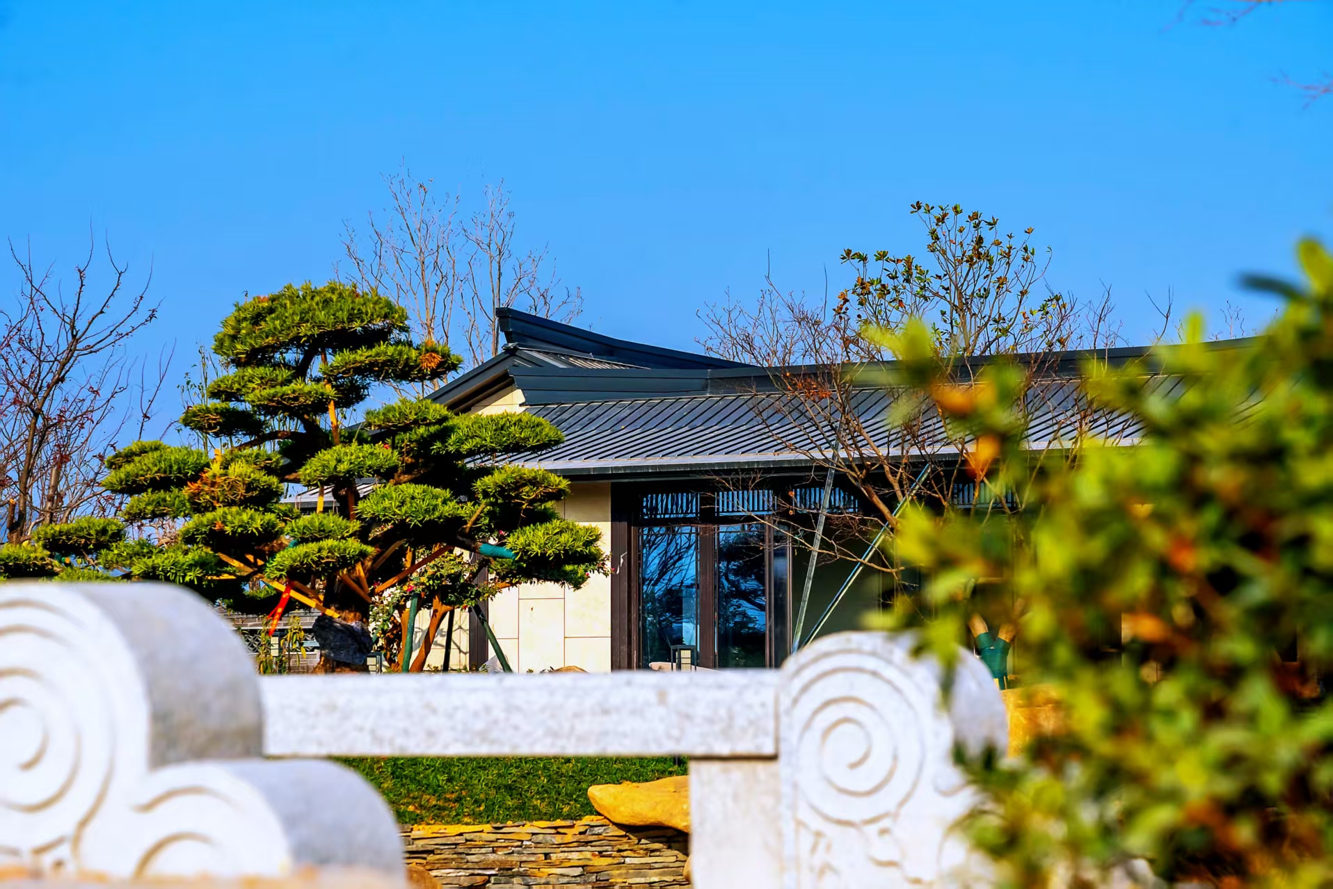 ȫ��������+���ƻ���ѵ ������硱����԰����