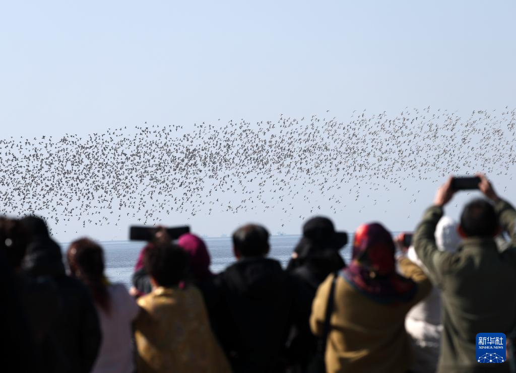 Ѽ�̽��ڹ���