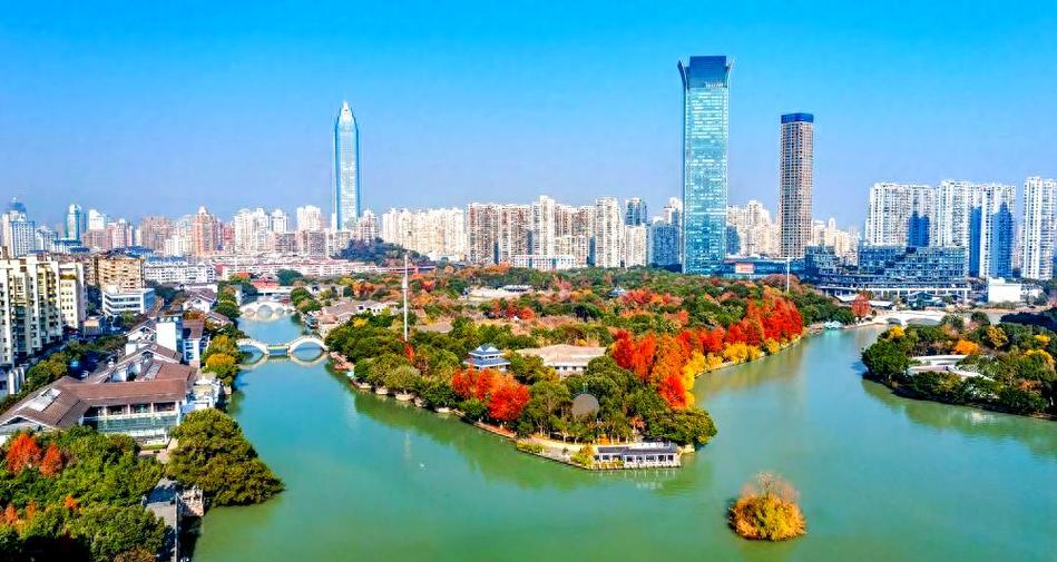 �����AI�������ݷ�չ�������������