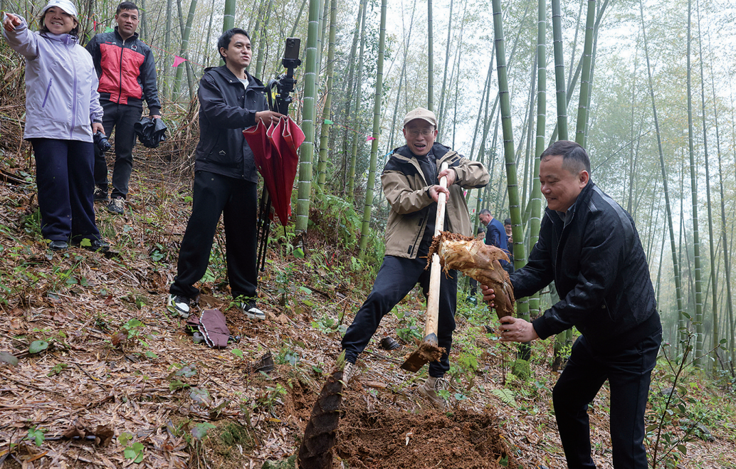 걺������Ļ�����Ļ������ͷ�����շ�