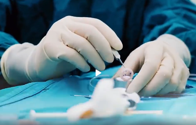 ����ʱ�� �ж����ǽ����������˼�