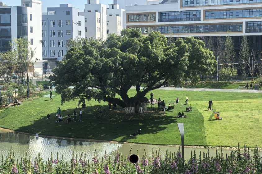 ���ʶ���԰��ר�ҿ��衰԰�ֿ��á� ����������ȫ����ļ��