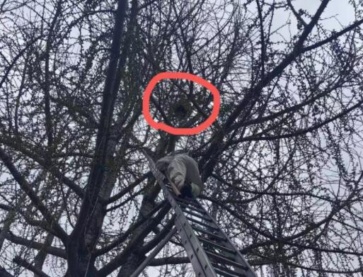 �������������־��������� ��������15�׸߿�Ϊ��լ���ƶ˳��䡱