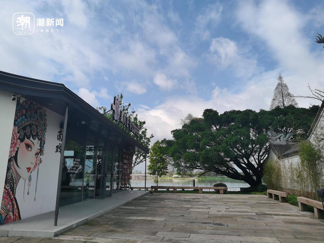 村口树成了园中宝 为了9棵古榕树温州园博园优化建设方案十余次