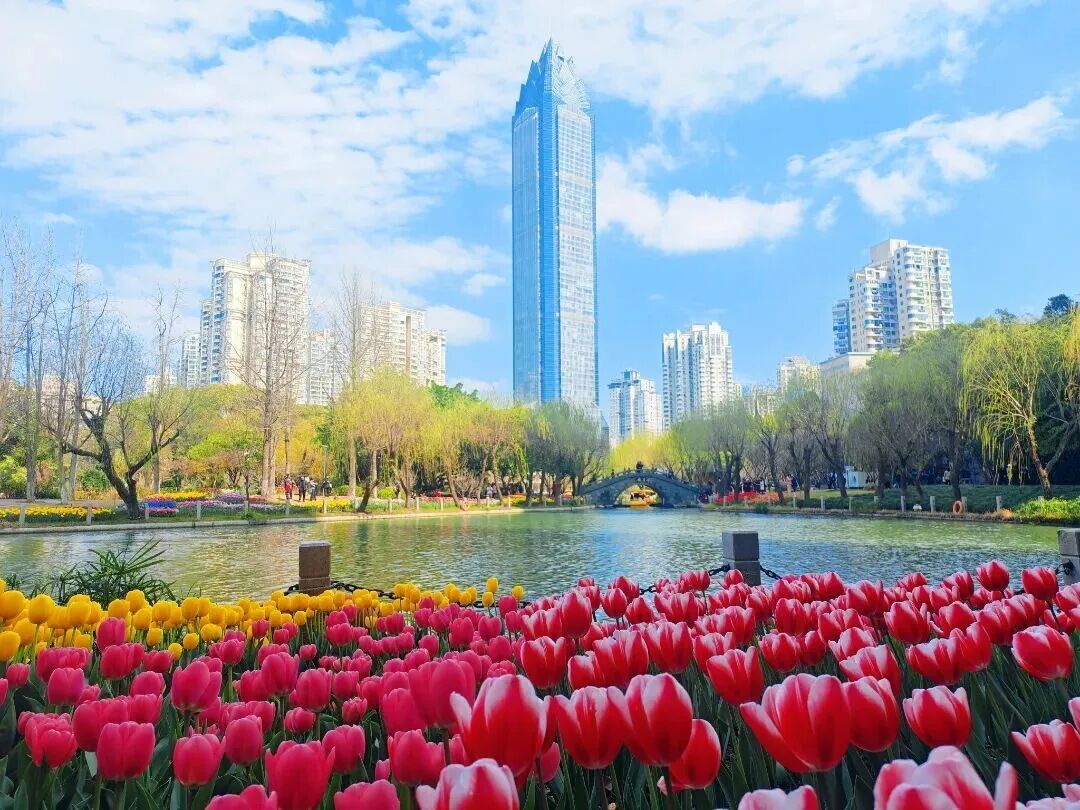 ¹��԰����ͼ��������ô���