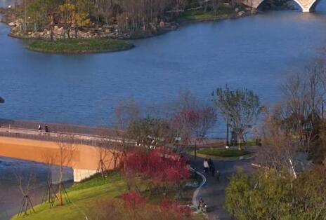 �Ҿ�ͷ�е�԰��| ����������̤���أ����˺��Ӷ�����