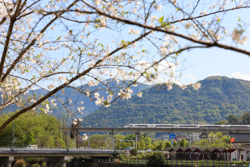 �����޶�������ӣ��������