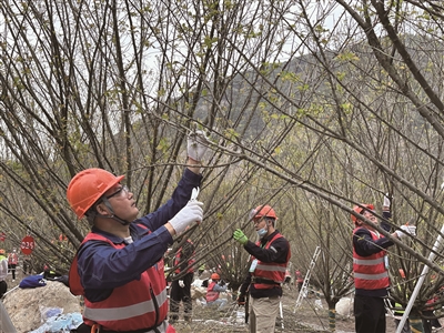 ȫ��԰����ҵְҵ���ܾ������¿��� ԰����ӭ��һ���̻���԰����