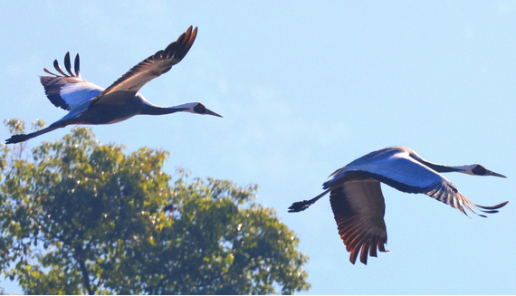 ���Ĵ����㡤�������壺���ݰ���������ܽ�س�