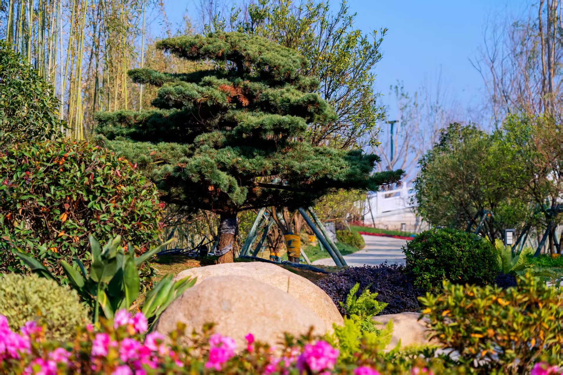 ��Ԓ���݈@���@���wҎ(gu��)���c�@���OӋؓ؟���w�i���ڴ��@����������硰��醡�