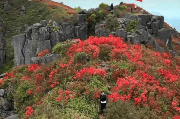 �n�϶��N�����Ͼ����e�^��һ����