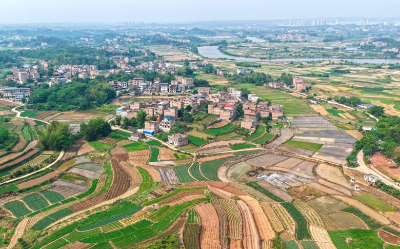 ������԰����Ũ