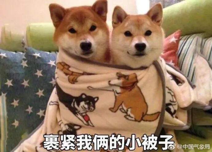 接下来的温州，雨雨雨雨雨雨雨……