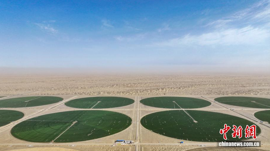 ɳ�ر����� ���������ɳĮ��Ե�֡���ɫԲ�̡�