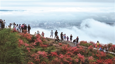 ��������Ի�Ϊý ������巢չ����