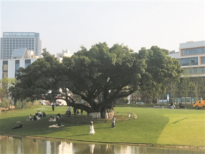 �����������Ȼ���Ļ�����С���� ����԰��԰�����ο��Σ�