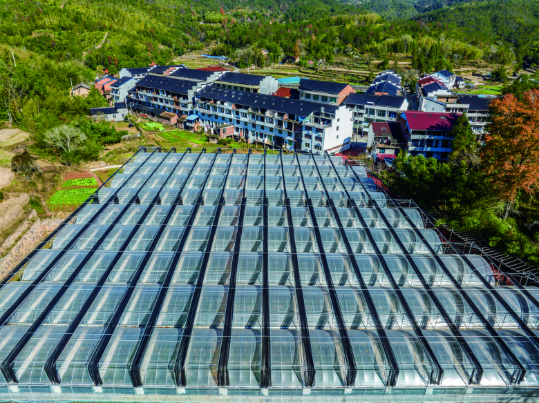 С�����ÿ��¸��� ̩˳����������������Ҹ���