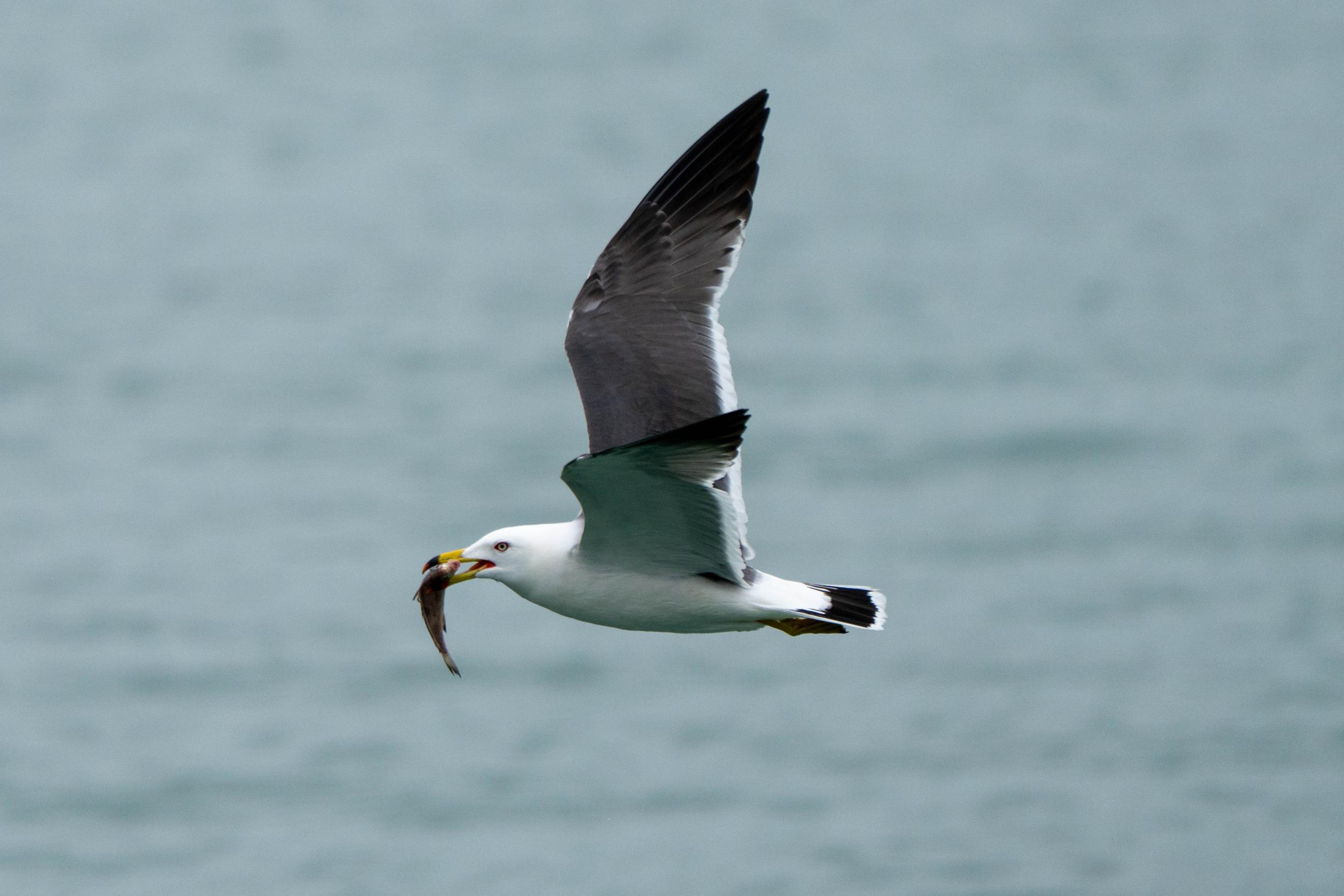 �������25Сʱ�ҵ�125���񣬷����¼�¼