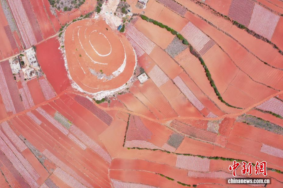 贵州威宁:春耕农田犹如大地“指纹”