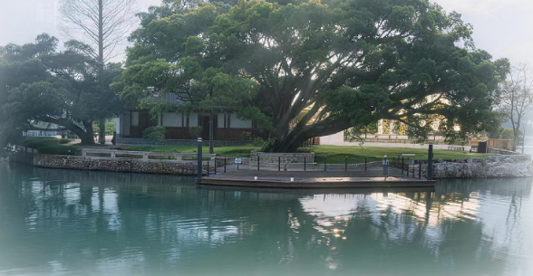 AI解锁温州园博园十二景:榕汀烟雨