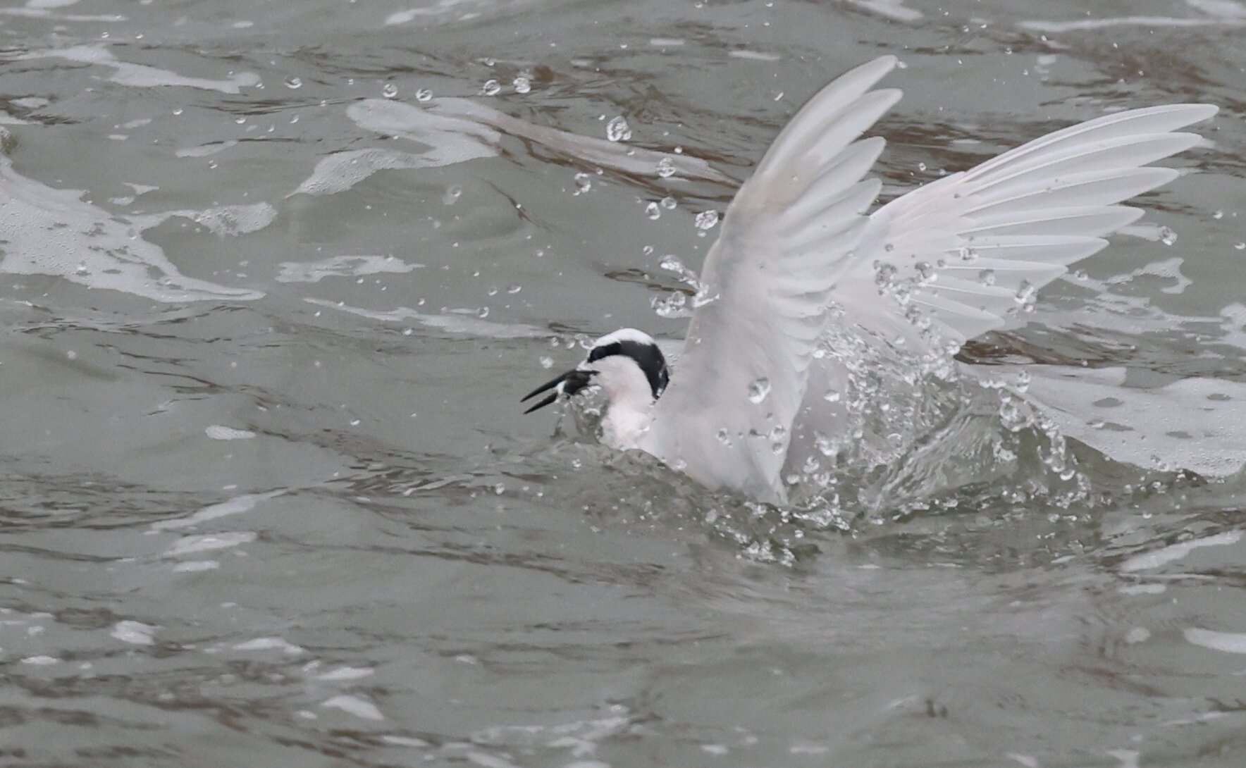 �������壺������Ÿ����