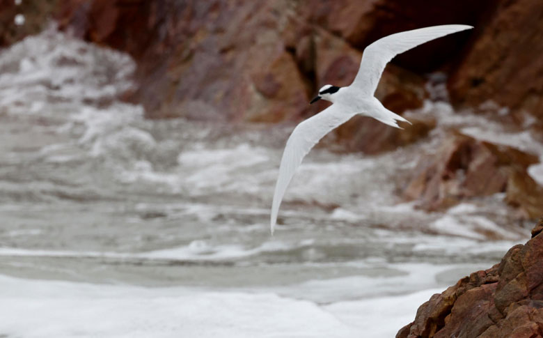 �������壺������Ÿ����