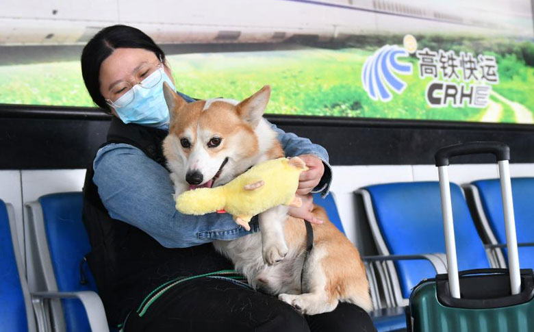 �������С������������