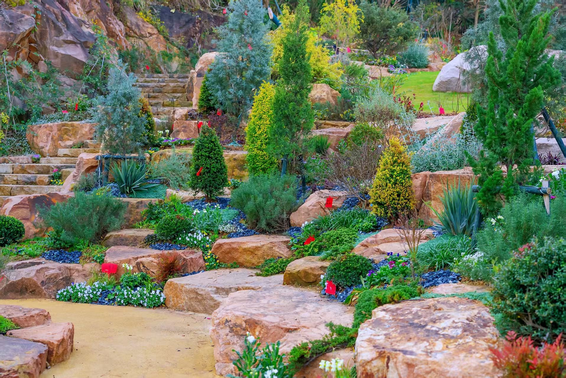 ԰���ᣬ���������������뻨��