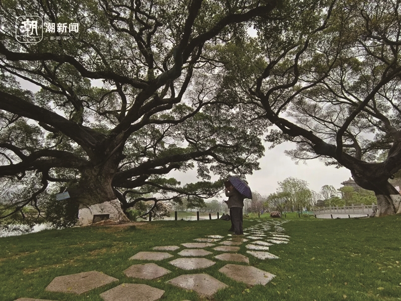 ����԰��԰��ȫʡ�׸���԰�ࡰ��̼԰����