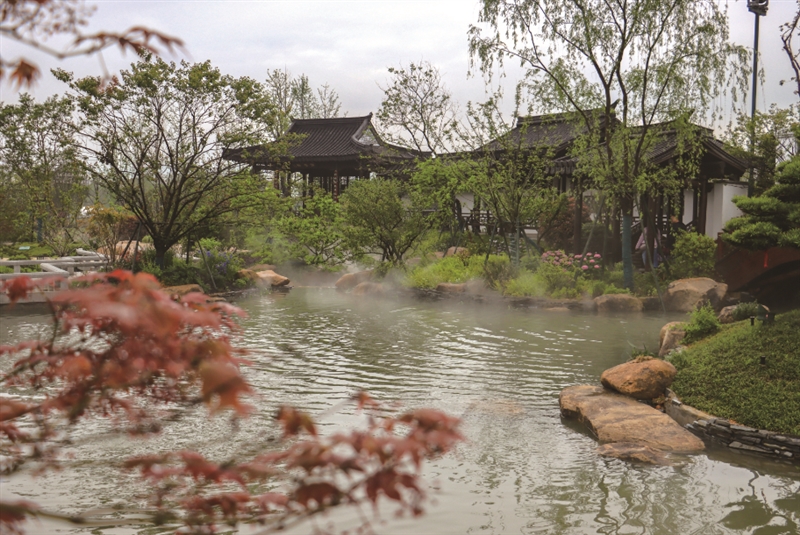 ����һ���Ż��������԰��԰ ���Խ԰�����ʦ��������԰����