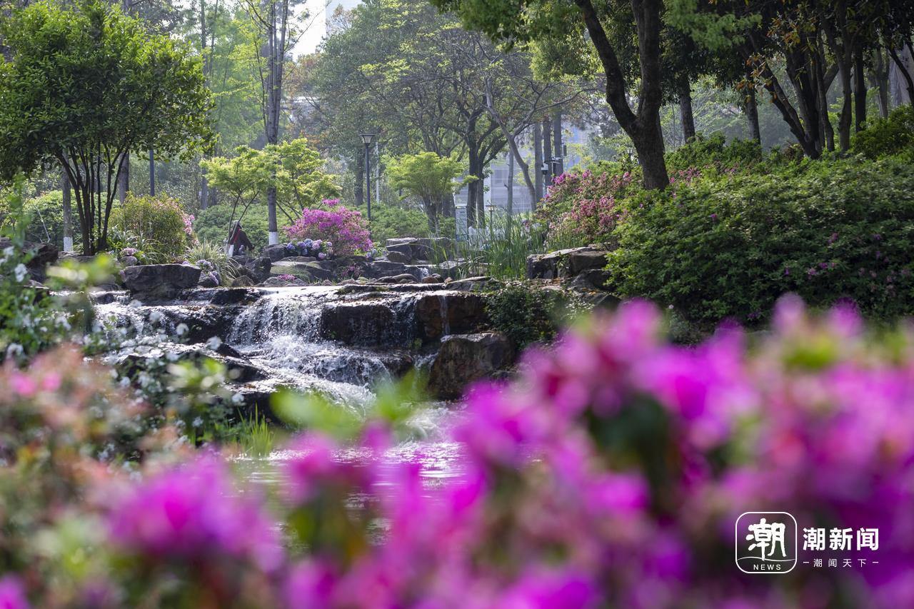 11����ž龪��ʢ�ţ������������ʵ�桰Ī�λ�԰��