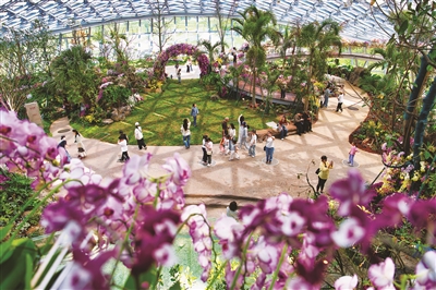 ����԰��԰��԰���׸���ĩ����������27.9���˴�