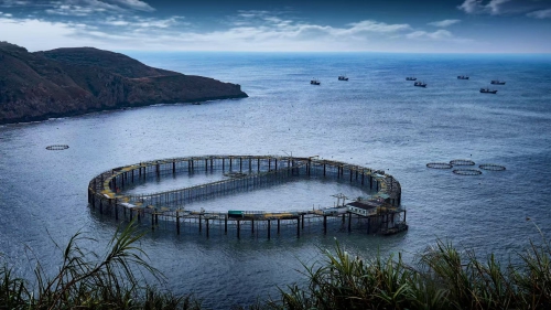 ��һ�����㡱�γ�19��Ԫ��ֵ�������絽�����ıջ��������