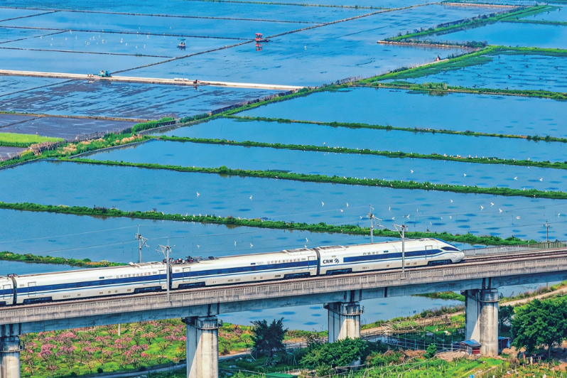 ����ţ�������� ���������뻭��