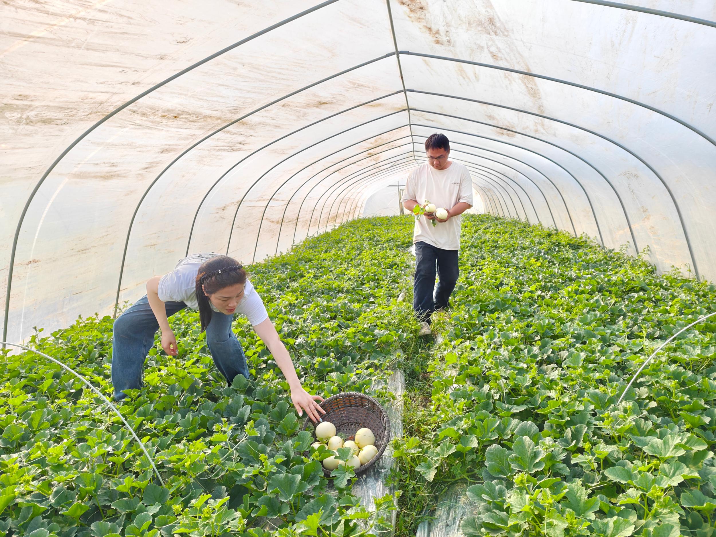 �����׹����ۡ���Ȧ�� �۸����񡱣���������ʱ��