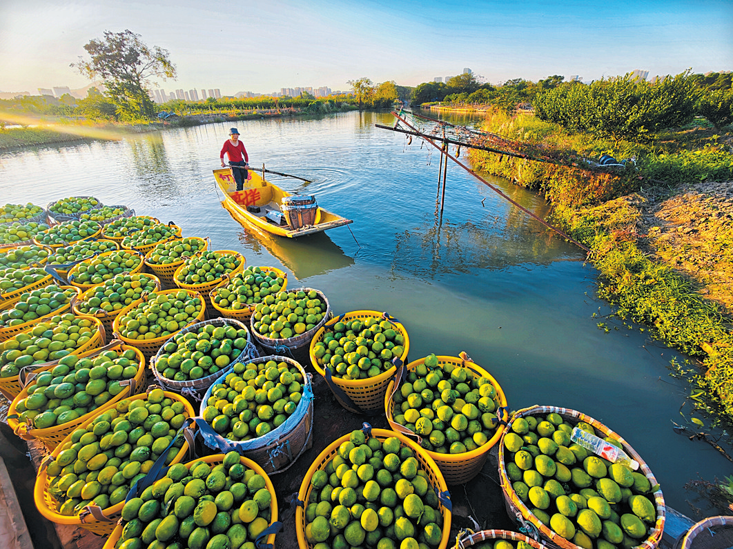 ����걸��׻���ҵ�����־ר�ñ�־ʹ��Ȩ