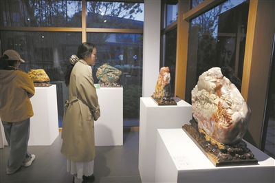 ���Ž�������ɽˮ԰�� ����չ��Ʒ���͵�������԰��԰