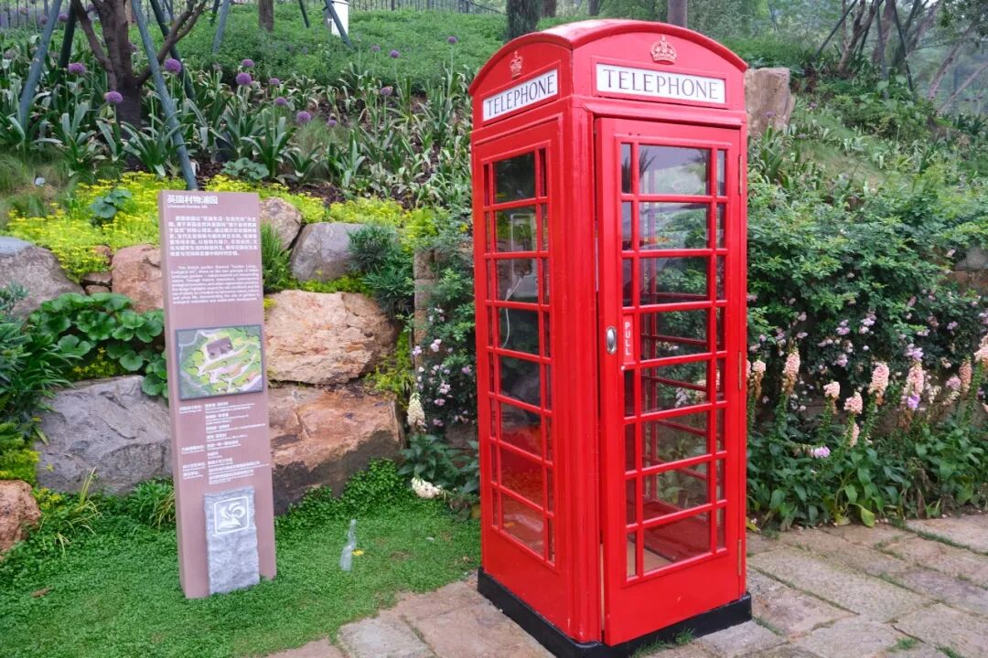 ����԰��԰Ӣ���ݣ�����