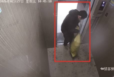 ��С��Ԥ����߱����� ¹�Ǿ���24Сʱ�ư�׷��