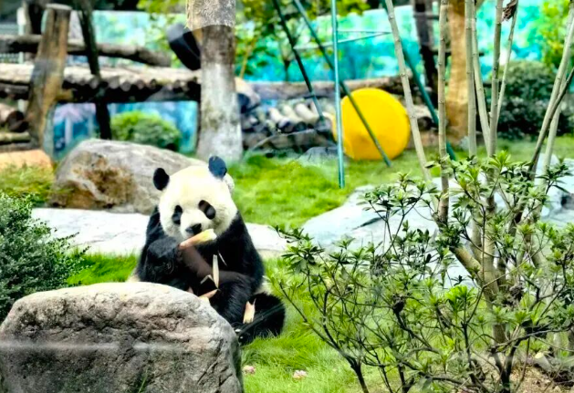 ƾ���»�Ʊ��ѿ�����è��������Щ������