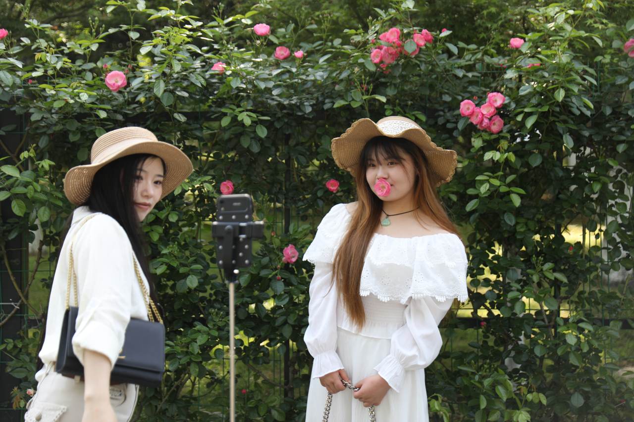 Color Walkײɫ������¹���ɽ�¼���������Ļ