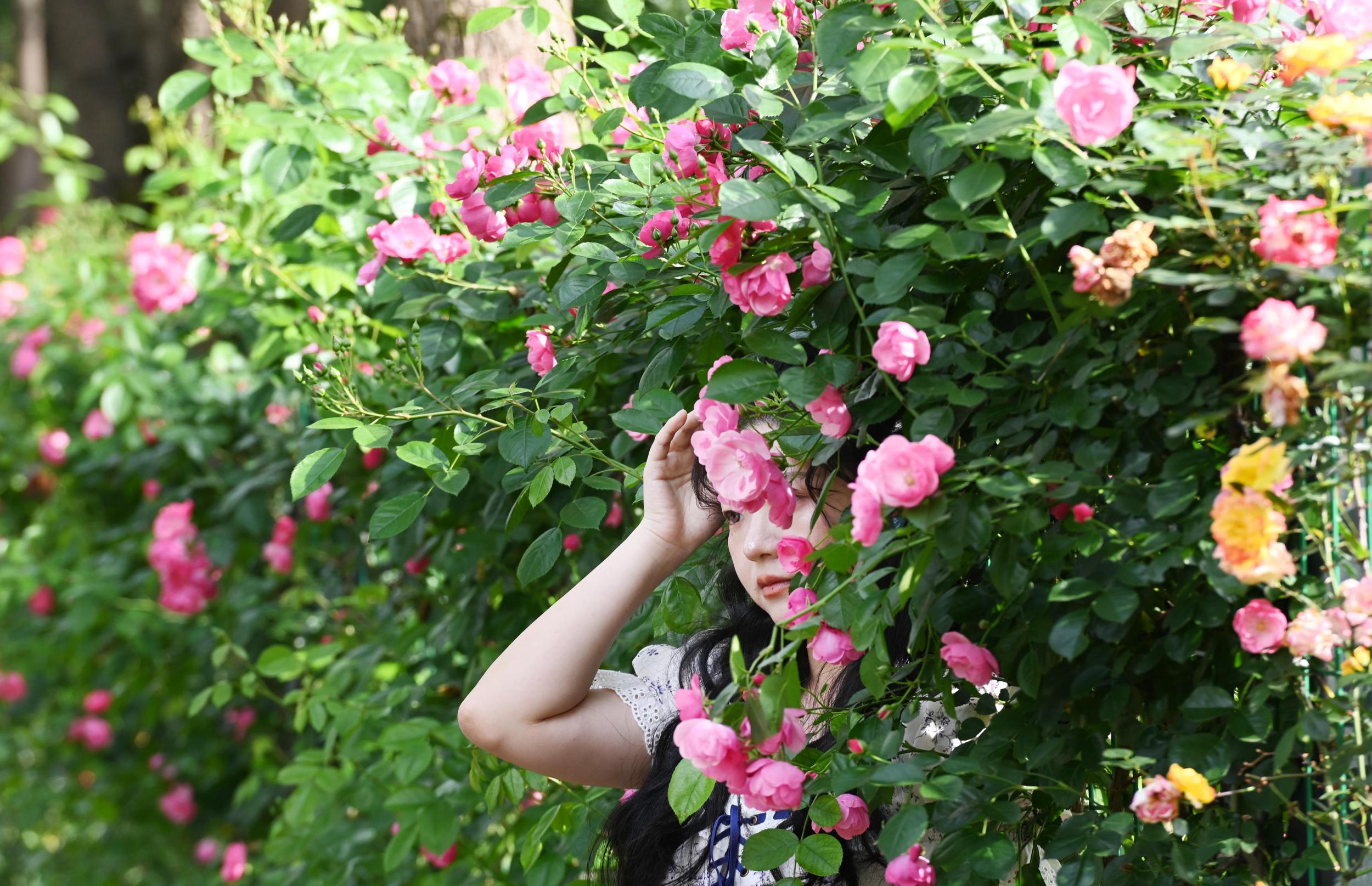 �¼������������ɽ��԰����Ī�λ�԰