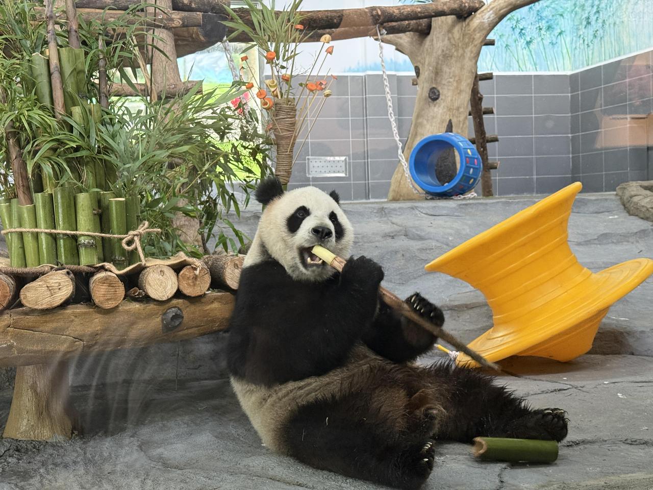 ��һ�Ż�Ʊ�����ݡ������� ƾ���»�Ʊ��ѿ�����è