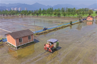 ����ũҵ��ũ�����¡������衱 ���ݴ������������ƽ�