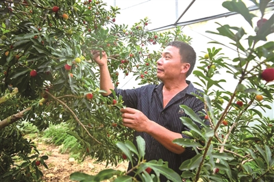 �Ƽ������ǻ������ʡ��ǳ� �ĳ�������÷5��1������