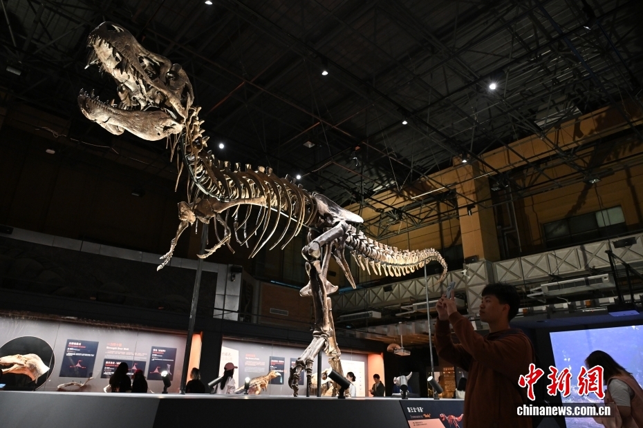 ��������ʯ�й��ڵ���չ���������Ȼ�����