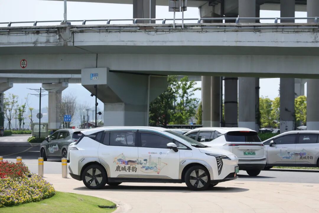 ¹��Ͷ�˰������òʵ��� ��������������